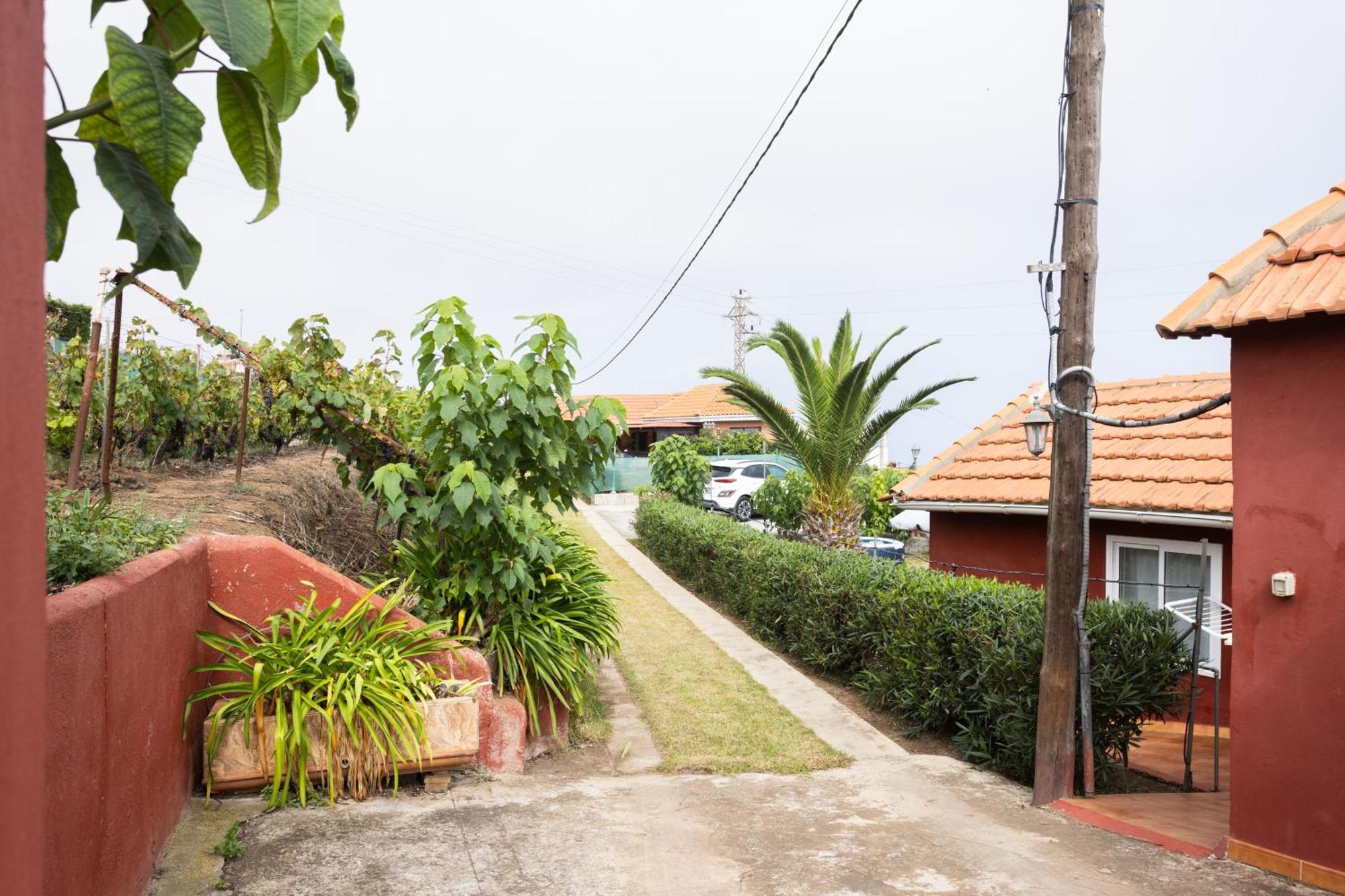 Home2Book Serene Retreat Isabel, Jacuzzi & Garden Icod el Alto Εξωτερικό φωτογραφία